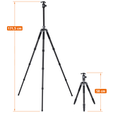 C6i Pro - Carbon Tripod