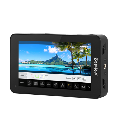 Desview Monitor R6II