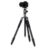 C6i Pro - Carbon Tripod