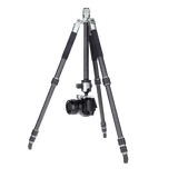 Rollei Stative Lion Rock Traveler M - Carbon Stativ